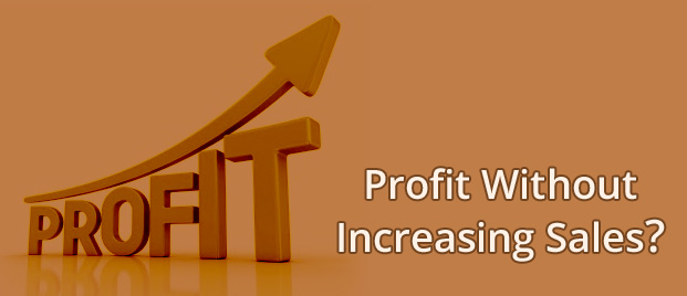 Can You Make an Extra 20% Profit Without Increasing Sales?